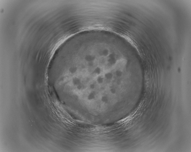 X0000059080879200510211539