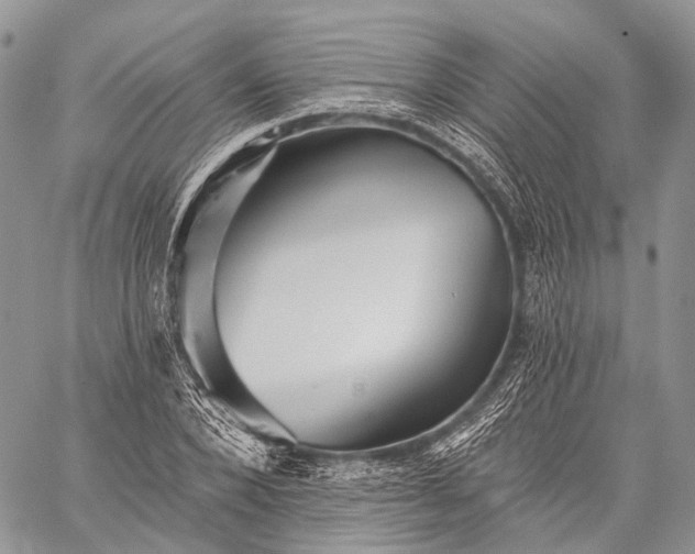 X0000059080880200510211539