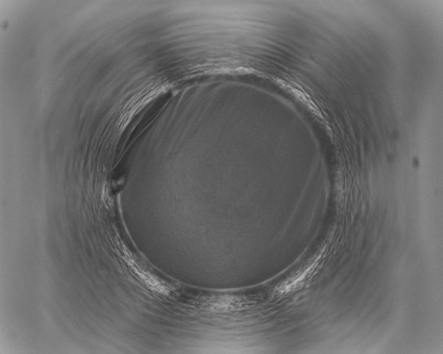 X0000059080881200510211539