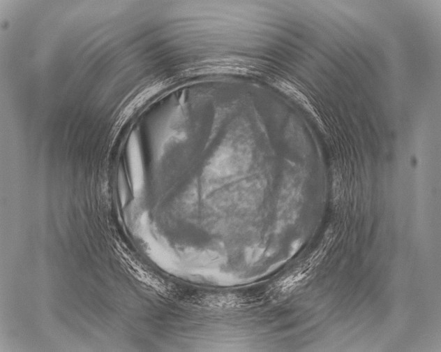 X0000059080882200510211539