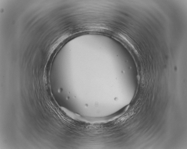 X0000059080883200510211539