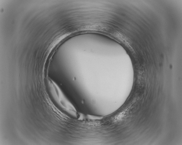 X0000059080884200510211539