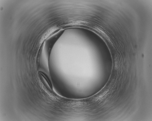 X0000059080885200510211539