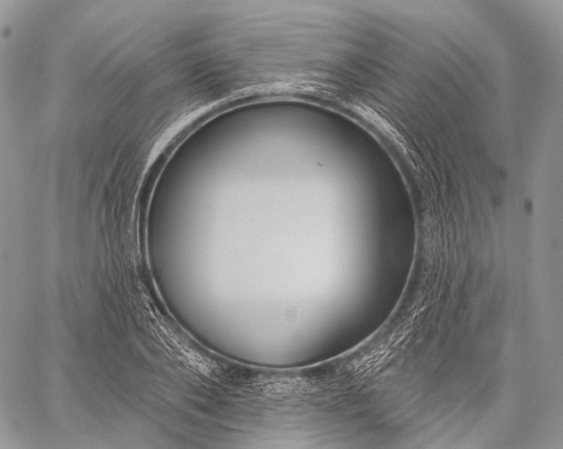 X0000059080886200510211539