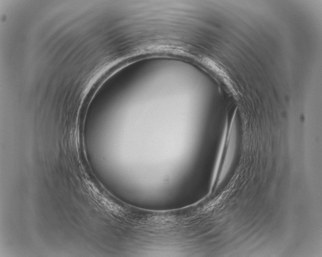 X0000059080888200510211539