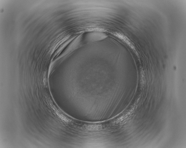 X0000059080889200510211539