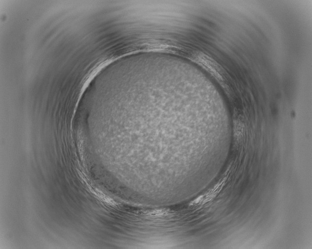 X0000059080891200510211539