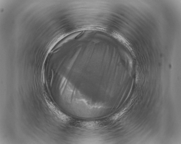 X0000059080892200510211539