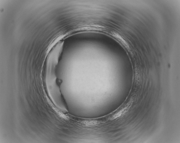 X0000059080893200510211539