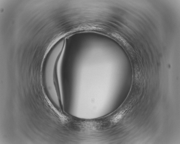 X0000059080894200510211539