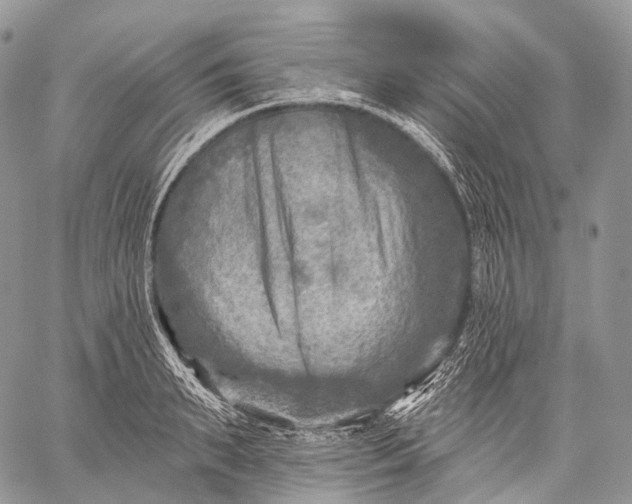 X0000059080895200510211539