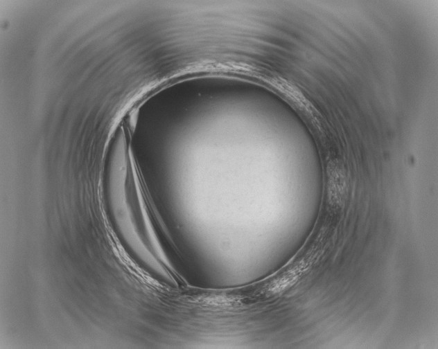 X0000059080896200510211539