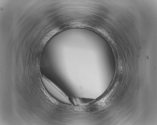 X0000059080897200510211539