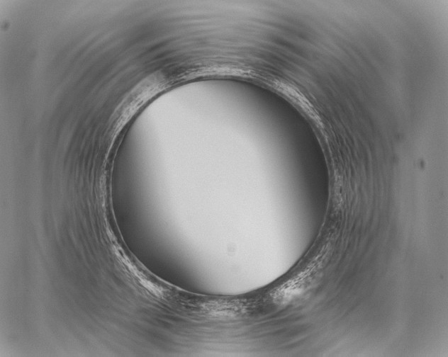 X0000059080898200510211539