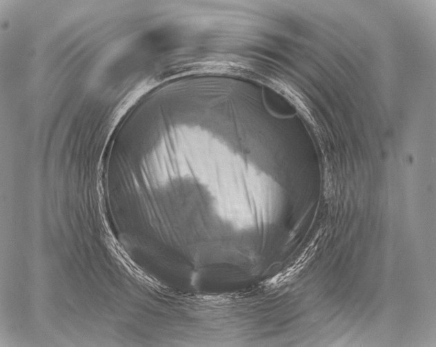 X0000059080899200510211539