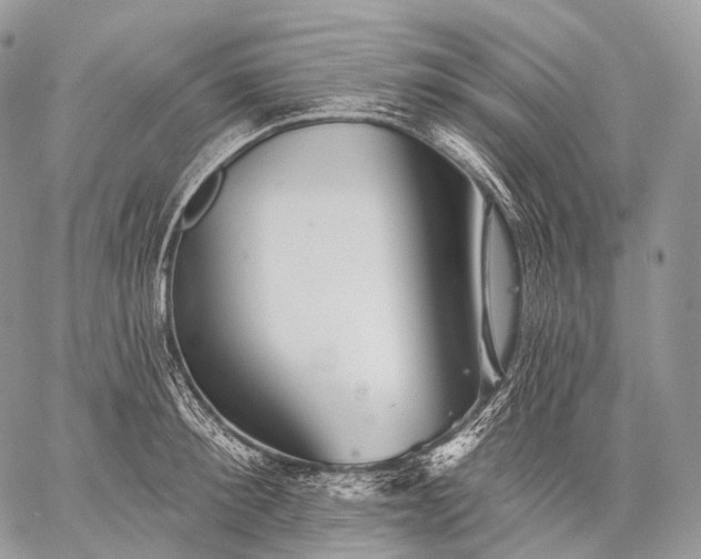 X0000059080900200510211539