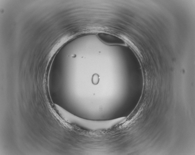 X0000059080901200510211539