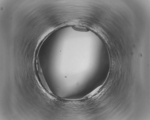 X0000059080902200510211539