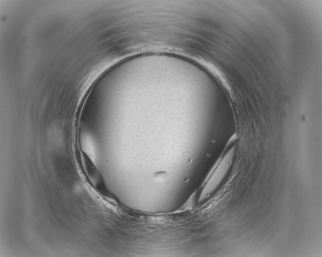 X0000059080903200510211539