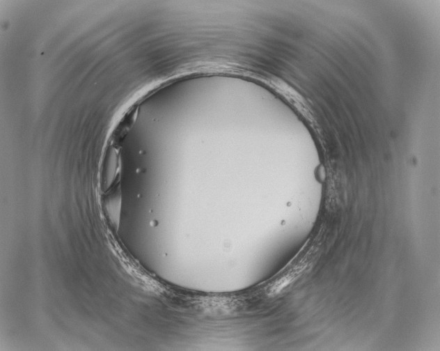 X0000059080904200510211539