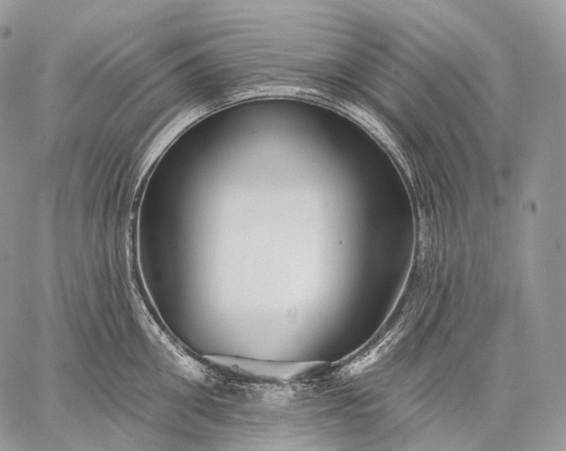 X0000059080906200510211539