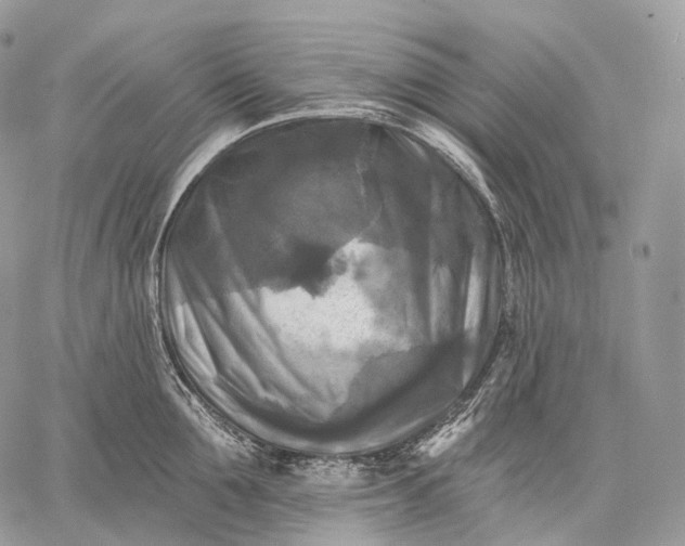 X0000059080907200510211539