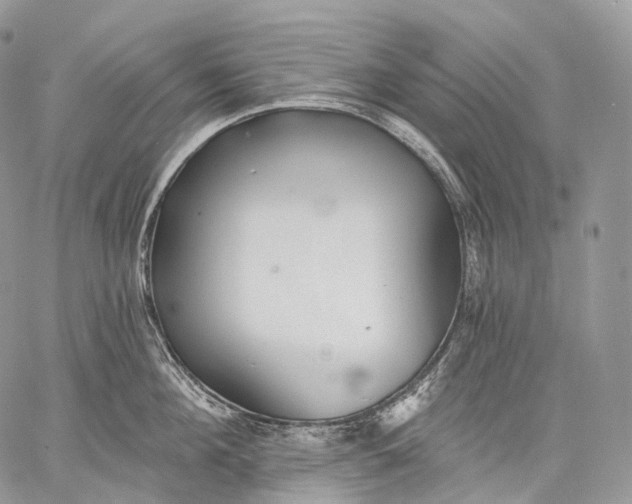 X0000059080908200510211539