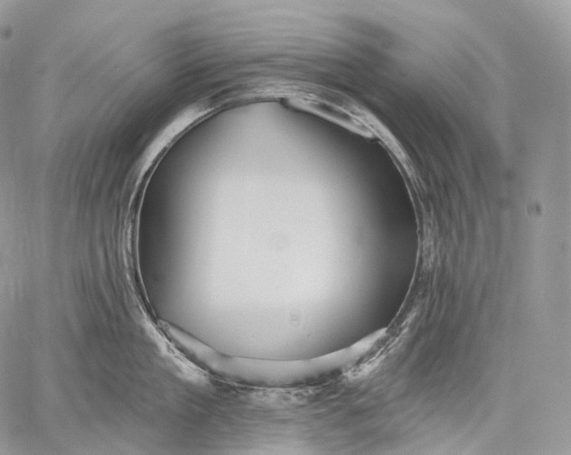 X0000059080909200510211539