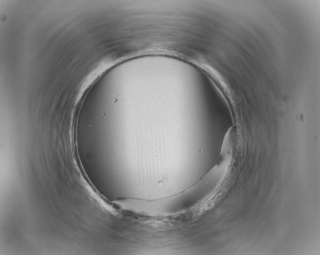 X0000059080910200510211539