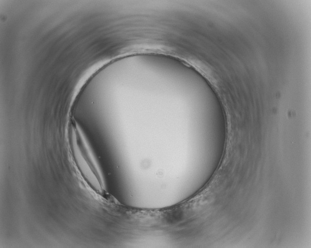 X0000059080912200510211539