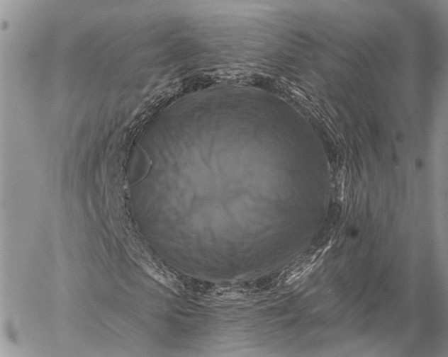 X0000059080913200510211538