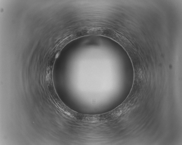 X0000059080914200510211538