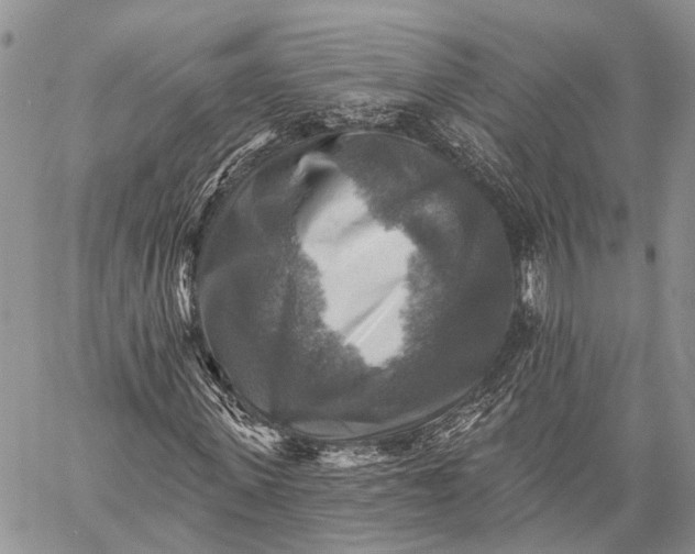 X0000059080915200510211538