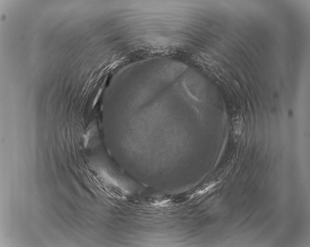 X0000059080916200510211538