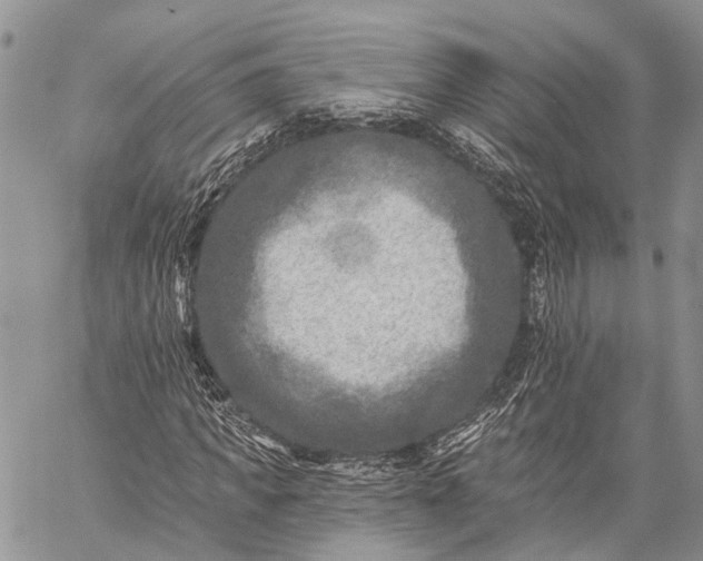 X0000059080917200510211538