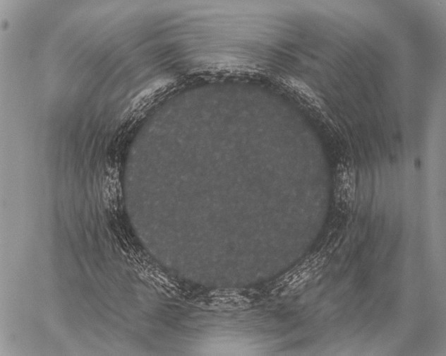 X0000059080918200510211538