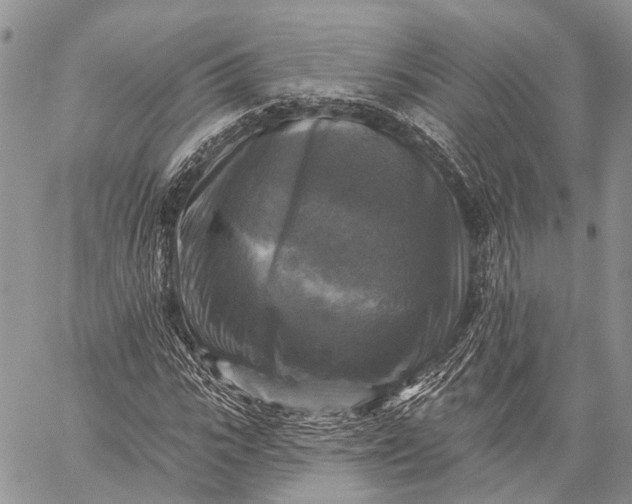 X0000059080919200510211538