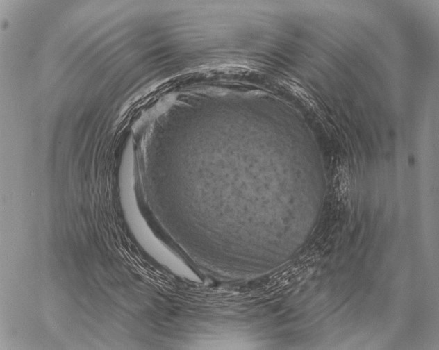 X0000059080920200510211538