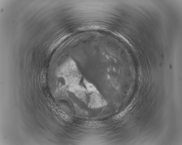 X0000059080921200510211538