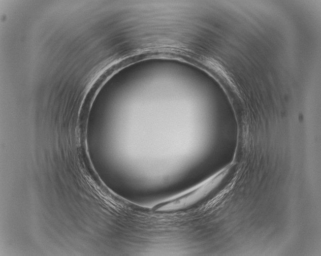 X0000059080924200510211538