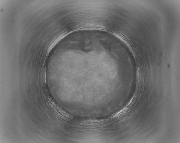 X0000059080925200510211538