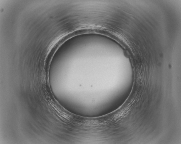 X0000059080927200510211538