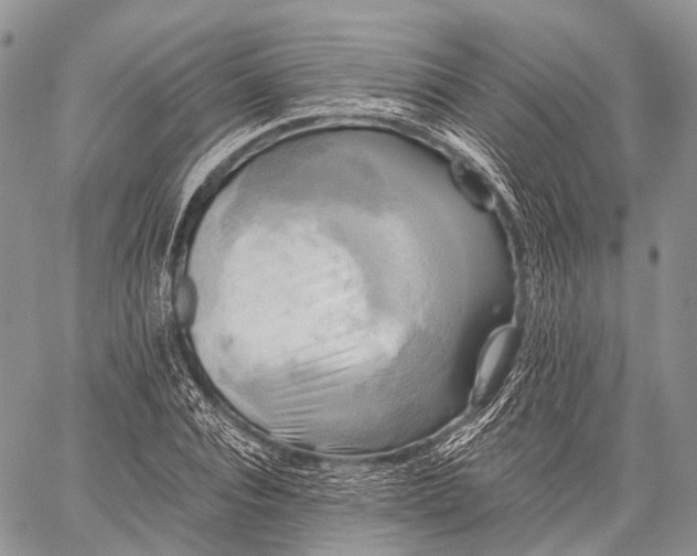 X0000059080928200510211538