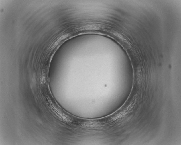 X0000059080929200510211538