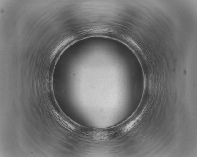 X0000059080930200510211538