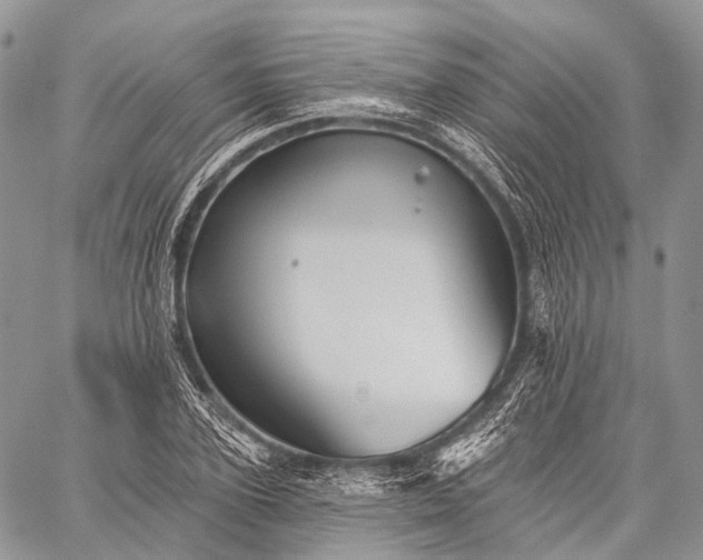 X0000059080931200510211538