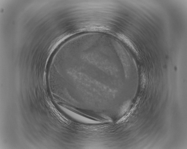 X0000059080932200510211538