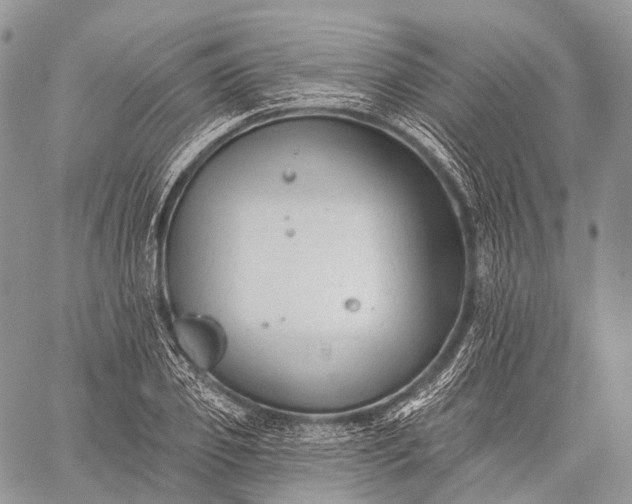 X0000059080933200510211538