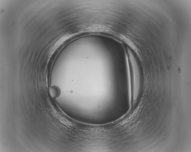 X0000059080934200510211538