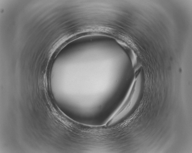 X0000059080936200510211538